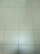 Before Cleaning